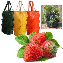 Load image into Gallery viewer, 3 Gallon Growing Bag 8 Mouth Strawberry Planting Bag Garden Hanging Planter Grow Bag Pouch Tomato Flower Herb Bags Gardening
