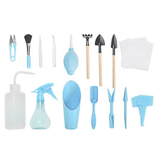 Load image into Gallery viewer, 1 Set Mini Succulent Transplanting Tools Combination of Flower Packaging Gardening Supplies Potted Meat Tool Garden Hand Tools

